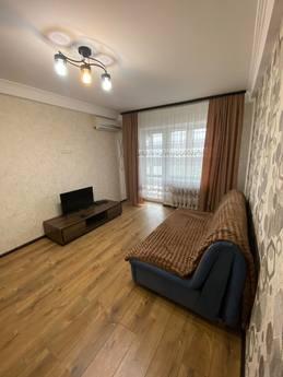 One-bedroom apartment near the metro stations Levoberezhnaya