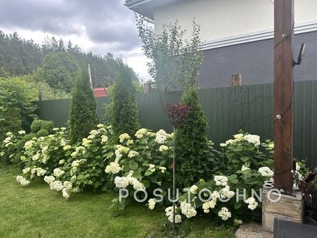 House near Kiev for short term rent, Ran, Makariv - apartment by the day