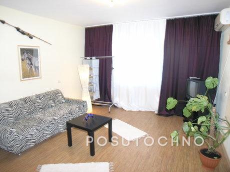 Zebra studio in the city center, Kyiv - apartment by the day