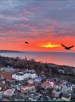 Vacation in Odessa. Beach. Rent out my apartment., Odessa - apartment by the day