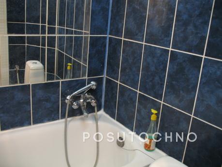 1-bedroom apartament in center of Lviv, Lviv - apartment by the day