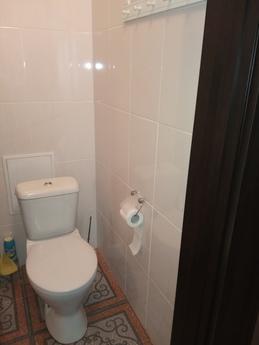 Apartment 1 room Ave. World 35, Chernihiv - apartment by the day