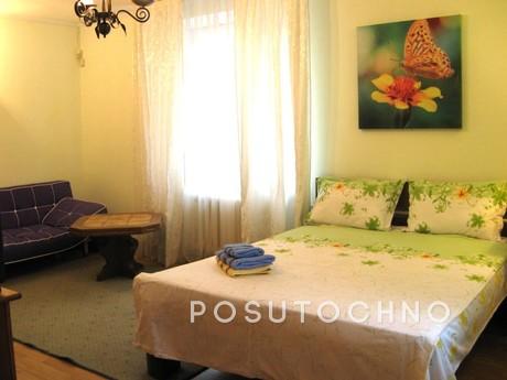 Comfortable and cozy apartment. Studio. The very center is l