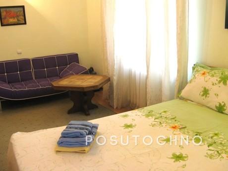 Comfortable and cozy Studio apartment, Zhytomyr - apartment by the day