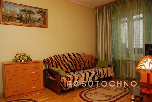 Day rent a comfortable one-bedroom apartment with appliances