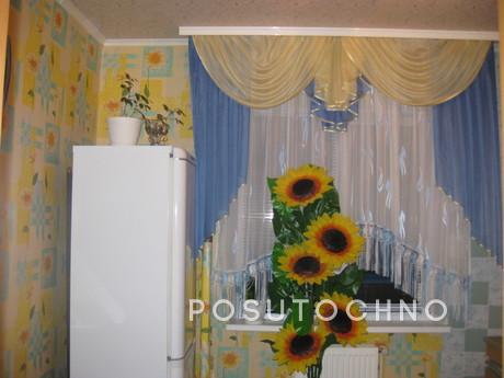 Rent 2 BR. DAILY FROM OWNER, Bila Tserkva - apartment by the day