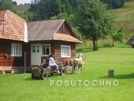 Estate 'Call of the Carpathians&quo, Mizhhiria - apartment by the day