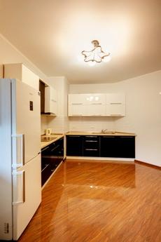 Cozy apartment for rent. Poznyaki., Kyiv - apartment by the day