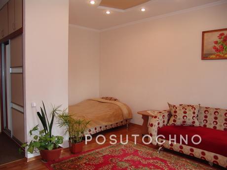 From us do not go away but come again, Kropyvnytskyi (Kirovohrad) - apartment by the day