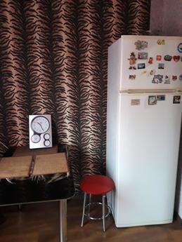 Rental housing in Krivoy Rog by the day., Krivoy Rog - apartment by the day