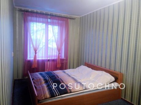 Comfortable, neat one bedroom apartment, standard class, the
