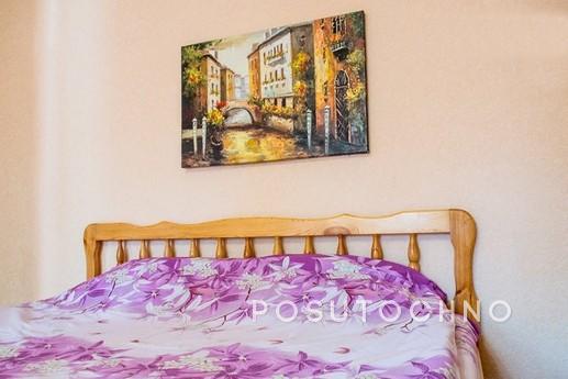 Comfortable apartment in the heart, Kyiv - apartment by the day