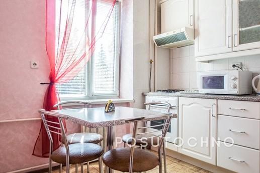 Comfortable apartment in the heart, Kyiv - apartment by the day