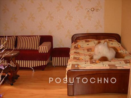 1-bedroom apartment in tsentr posutochno, Kharkiv - apartment by the day