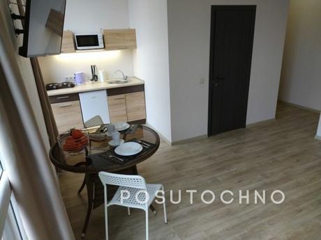 Studio apartment on Pushkinskaya, Kharkiv - apartment by the day