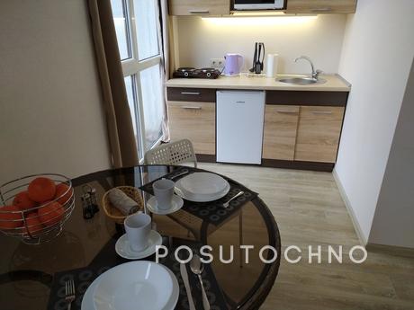 Stylish studio apartment for rent in the, Kharkiv - apartment by the day