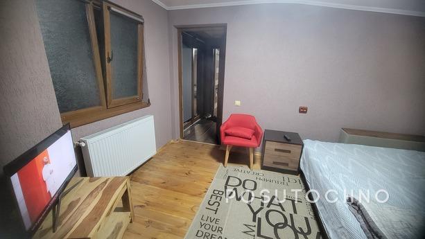 Затишний будинок, Берегово - квартира посуточно