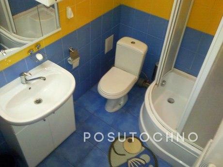 Posuchno, hourly 1 room apartment on Levanevsky. Repair date