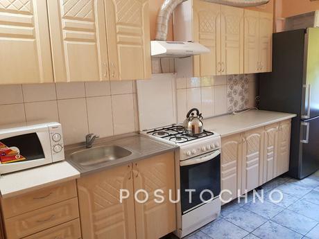 One bedroom apartment in the city center, Yuzhny - apartment by the day