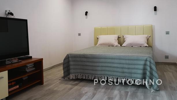 Leo Loft Apartment, Odessa - apartment by the day