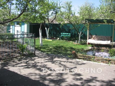 Подобова аренда екобудинку в Миргороді, Миргород - квартира посуточно