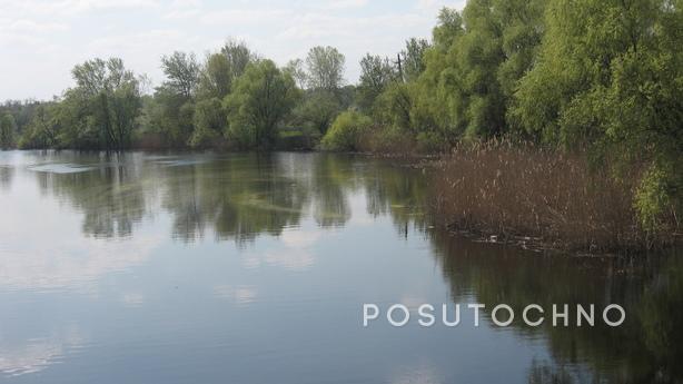 Подобова аренда екобудинку в Миргороді, Миргород - квартира посуточно