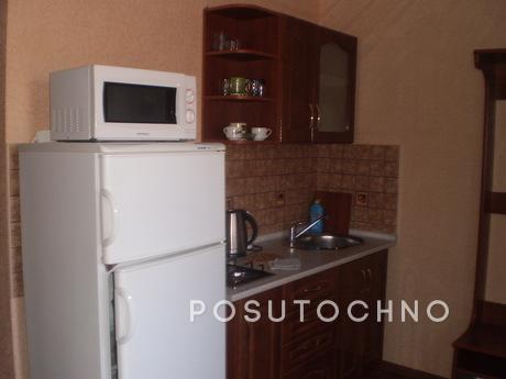 Center (near the TIR) and hourly 1i2kom, Vinnytsia - apartment by the day