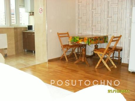 Podolia, WiFi, luxury 2+2+2+1, docum, Vinnytsia - apartment by the day