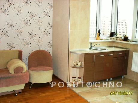 Podolia, WiFi, luxury 2+2+2+1, docum, Vinnytsia - apartment by the day