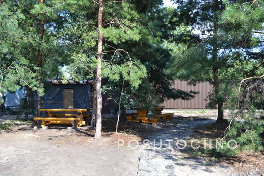 Аренда дома с бассейном, баней и чаном, Киев - квартира посуточно