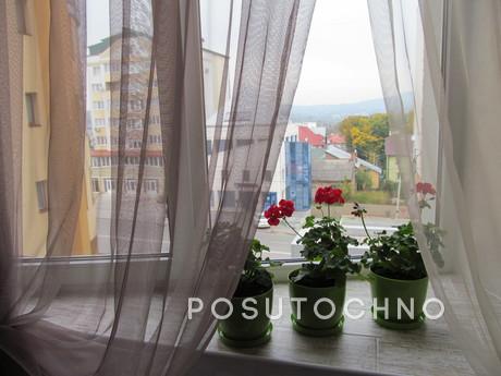 The center, beautiful apartment, Chernivtsi - apartment by the day