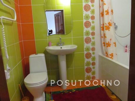 All amenities, Wi-Fi, Chernivtsi - apartment by the day
