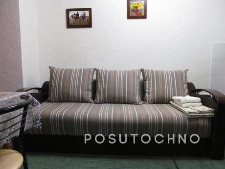 All amenities, Wi-Fi, Chernivtsi - apartment by the day