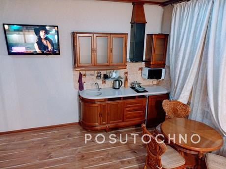 Cozy studio apartment a step from the me, Kharkiv - apartment by the day