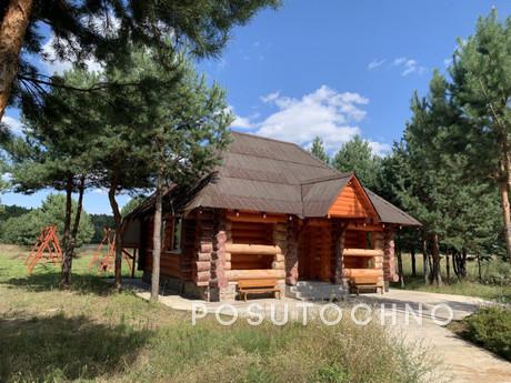 Wonderful vacation by the lake in a pine, Voropayevo - apartment by the day