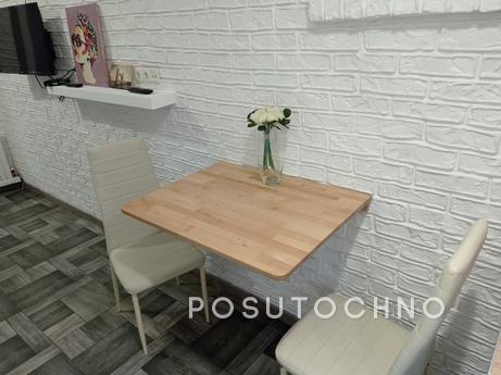Podobova rent studio apartment in the ce, Lviv - apartment by the day