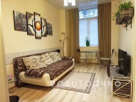 Nice and comfortable one bedroom apartment in the historical