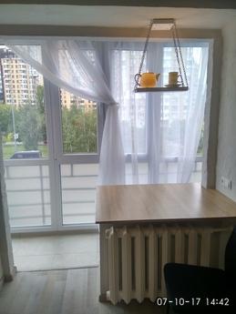 2-bedroom apartment in Pechersk, Kyiv - apartment by the day