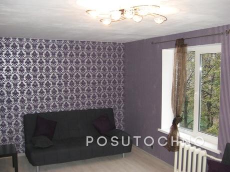 1 room apartment 5 minuts from mKuzminki, Moscow - apartment by the day