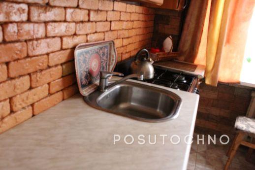 Clean and has a view of the park, Bila Tserkva - apartment by the day