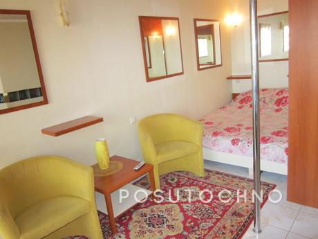 Interesting apartment in the center., Kherson - apartment by the day