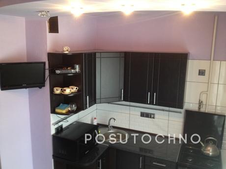 Very nice apartment in Troeschina, Kyiv - apartment by the day