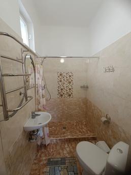 Rooms in the house after a repair, Berehovo - apartment by the day