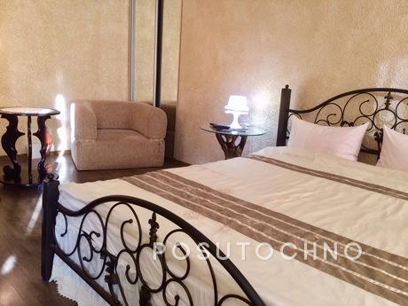1 room studio pr Pobedy Svyatoshino, Kyiv - apartment by the day