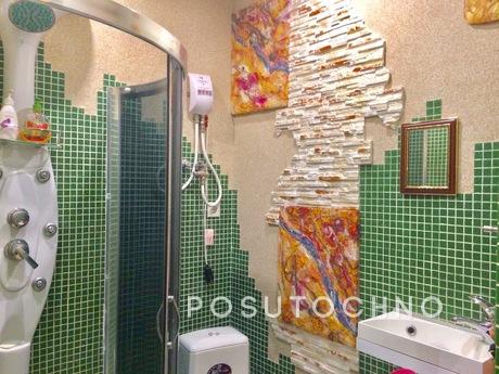 1 room studio pr Pobedy Svyatoshino, Kyiv - apartment by the day