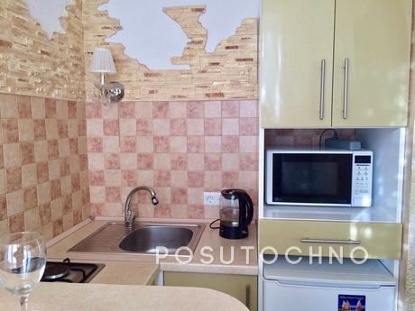 1 room studio pr Pobedy Svyatoshino, Kyiv - apartment by the day