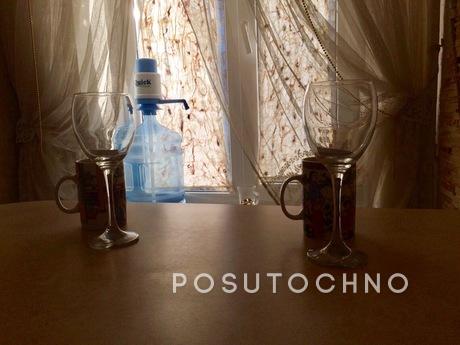1 room studio pr Pobedy Svyatoshino, Kyiv - apartment by the day