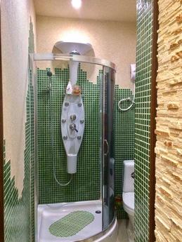 1 room studio pr Pobedy Svyatoshino, Kyiv - apartment by the day