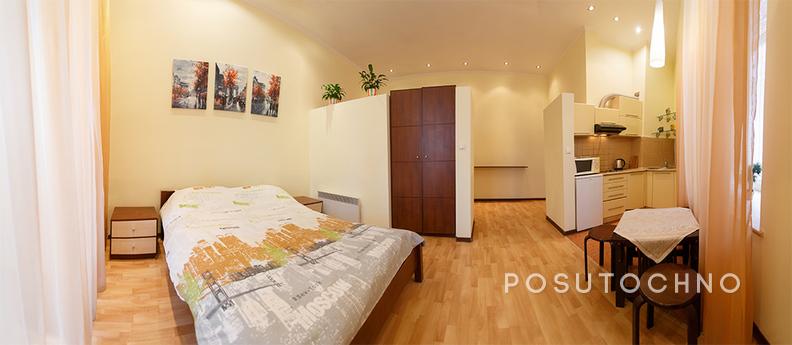 Clean, comfortable one-bedroom apartment - studio. Renovatio
