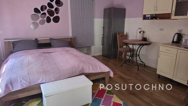 One-room cabin in Beregovo, Berehovo - apartment by the day